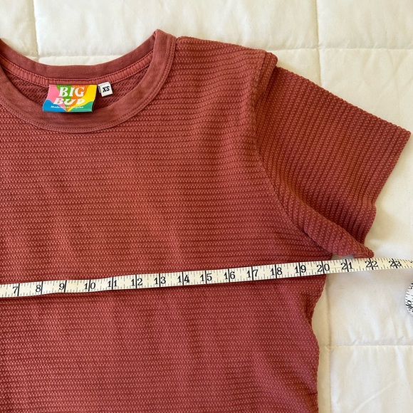 Big Bud Press Honeycomb Crop Tee Mauve Short Sleeve XS - Picture 5 of 13